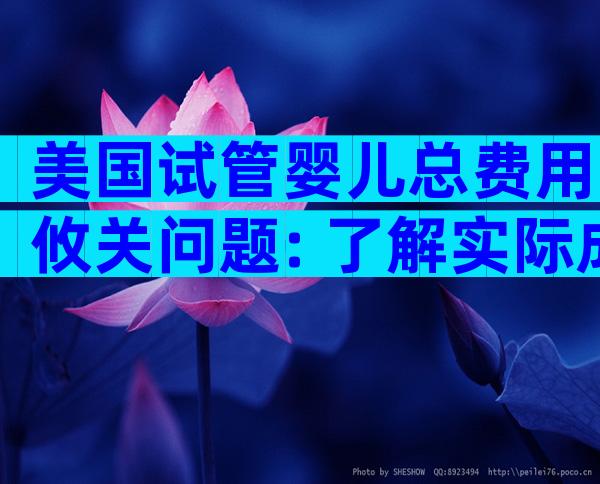 美国试管婴儿总费用攸关问题: 了解实际成本是关键